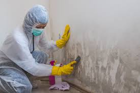 Best Biohazard Mold Removal  in Friendship Heights Village, MD